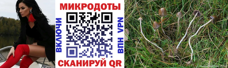 ссылка на мегу сайт  Ахтырский  Галлюциногенные грибы Cubensis  наркотики 